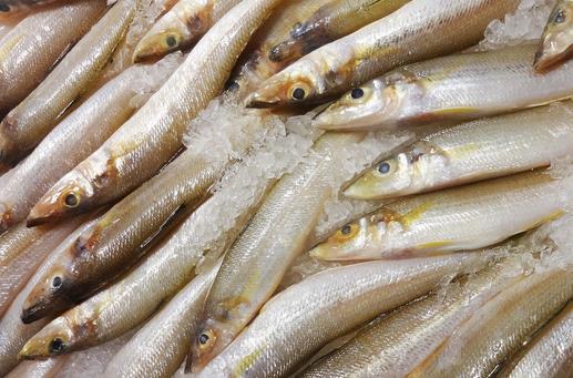 男人吃什么可以壯陽？壯陽補腎的四類食物推薦