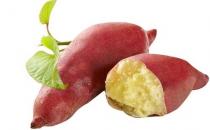 紅薯營養價值高 盤點紅薯的7大養生功效