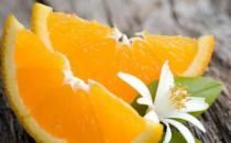 開車一族五招養生 駕車安全又健康