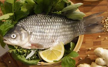 鯽魚_鯽魚的營(yíng)養(yǎng)價(jià)值,營(yíng)養(yǎng)成分,功效與作用,鯽魚的做法大全 鯽魚_鯽魚的營(yíng)養(yǎng)價(jià)值,營(yíng)養(yǎng)成分,功效與作用,鯽魚的做法大全