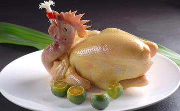 雞肉_雞肉的營養價值營養成分及功效與作用_雞肉的做法大全 雞肉_雞肉的營養價值營養成分及功效與作用_雞肉的做法大全