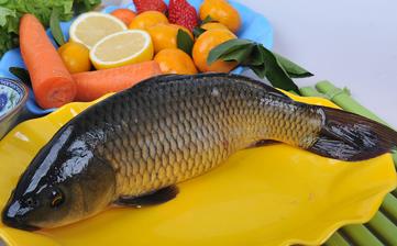 鯉魚_鯉魚的營養價值,功效與作用,鯉魚怎么做好吃,鯉魚的做法大全 鯉魚_鯉魚的營養價值,功效與作用,鯉魚怎么做好吃,鯉魚的做法大全