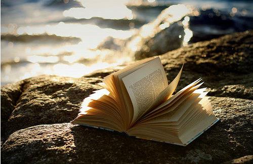 有益于中小學(xué)生眼睛的食物