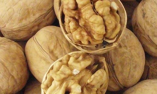 健腦補(bǔ)腦這些食物名列前茅