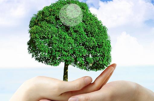 如何正視和克服你的弱點？