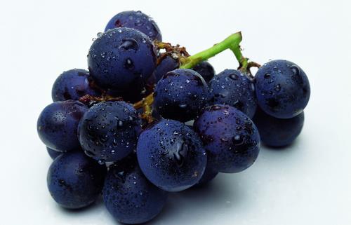 家長必讀：食物中的八大“補腦高手”