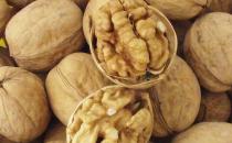 冬季需養腎 補腎養腎的七大食物推薦