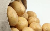 如何挑選土豆？教你土豆烹飪5個竅門