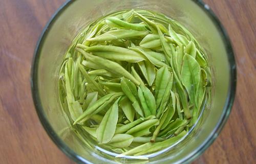 飲茶防輻射 健康吃出來