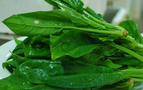 多吃五種食物 讓白領(lǐng)身體更有活力