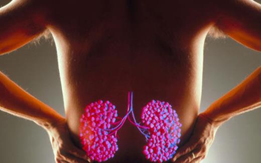 養腎保腎要怎么做？