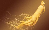 老人吃人參好嗎？哪些老人不能吃人參？