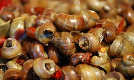 女性經期不能吃什么？經期飲食的宜與忌