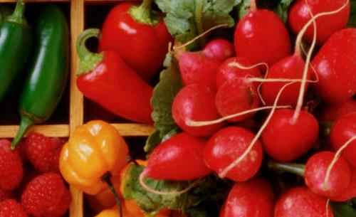 電腦族應多吃的抗輻射食物