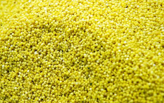 女性備孕吃什么好？13款好孕食物推薦