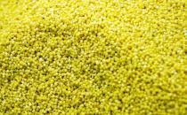 女性備孕吃什么好？13款好孕食物推薦