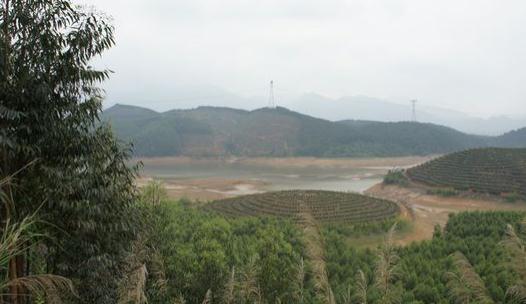 陰宅風水選擇-什么陰宅的風水好?