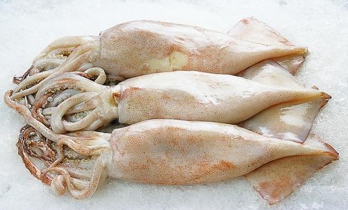 魷魚有什么營養(yǎng)價值？