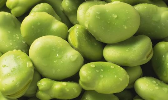 當心!15種食物含有天然毒素