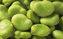 當心！15種食物含有天然毒素