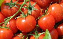 吃什么保護(hù)眼睛？白領(lǐng)電腦族護(hù)眼飲食盤(pán)點(diǎn)