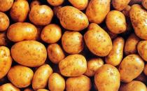 睡前吃什么不發胖？10女人最愛睡前食物推薦