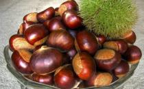 女性經(jīng)期吃什么食物好？