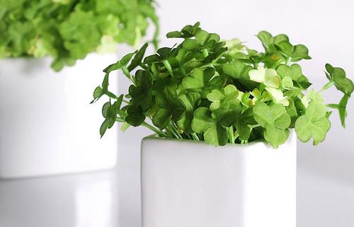 改善辦公環(huán)境 遠離輻射危害