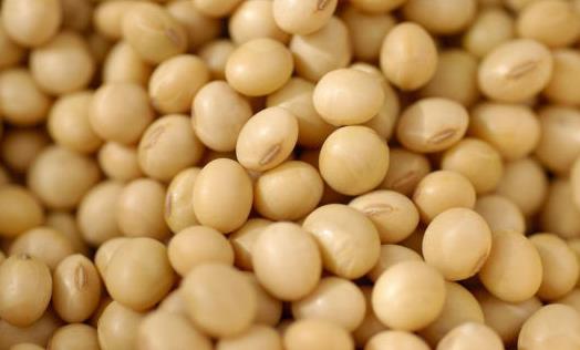 吃什么對(duì)乳房好？保護(hù)乳房的9種食物推薦