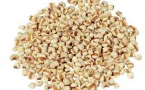 各種米各有所長 盤點6種米的養生功效