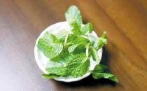 薄荷清新 迷迭芳香 葉子香料巧手烹