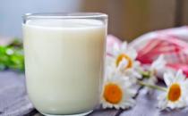 你對牛奶不耐受嗎？如何解決乳糖不耐受