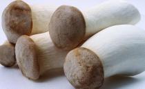 雞腿菇有什么營養(yǎng)價值？