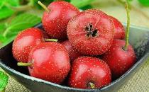 冬天肝火旺吃什么好？ 五種食物幫你去肝火