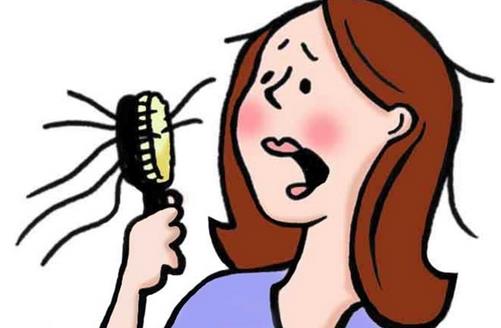 關于脫發的知識