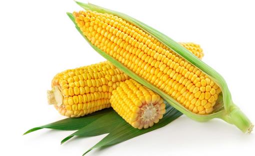 冬季養胃吃啥好？9種食物來護胃