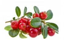 蔓越莓真有“神奇成分”嗎？