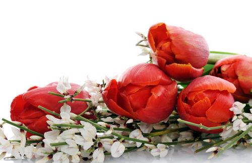 巧用鮮花打造水嫩美肌的美容護膚小竅門