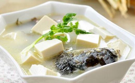 十種飲食搭配 健康又營養(yǎng)