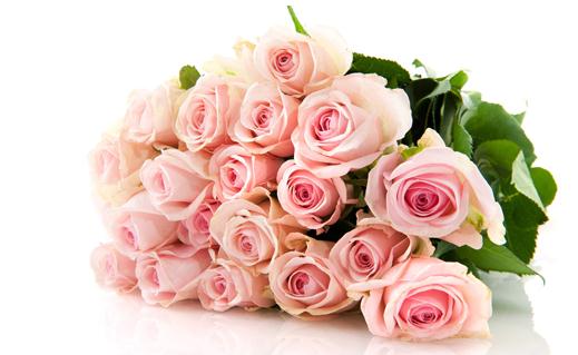 情人節(jié)送什么花?情人節(jié)送花指南