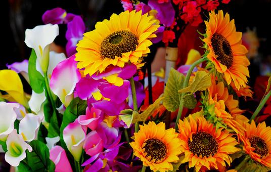 社交中花卉都有什么作用？