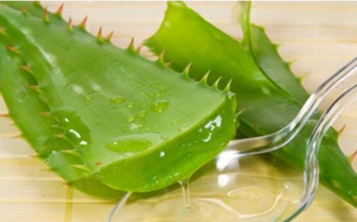 盤點美容效果最佳的養顏菜