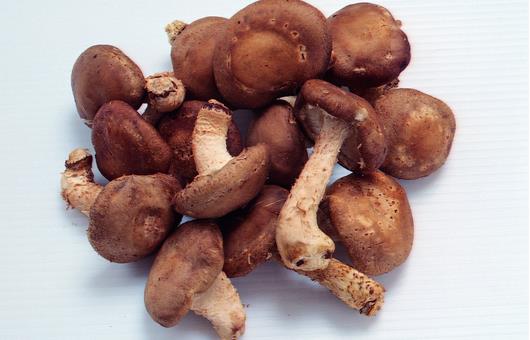 揭秘！廚房里隱藏的4大養發高手