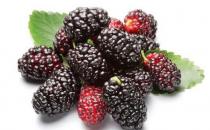 四大生發食譜 還你美麗秀發