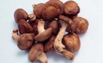 揭秘！廚房里隱藏的4大養發高手