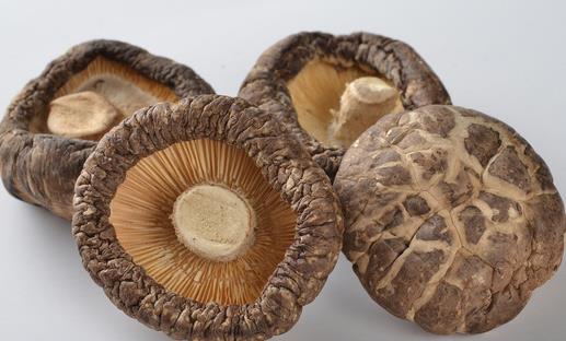 最全的美容養顏食品排行榜