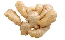 盤點(diǎn)那些美容養(yǎng)顏菜 你有在吃嗎？