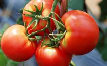 盤點生活中養顏食物大匯總