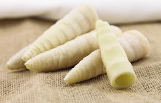 立春后吃什么最養生？11種養生食物推薦