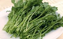 瘦臉食譜 幫你甩掉大餅臉